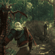 Geralt of Rivia in The Witcher 3: Wild Hunt, fighting a pair of giant centipedes.